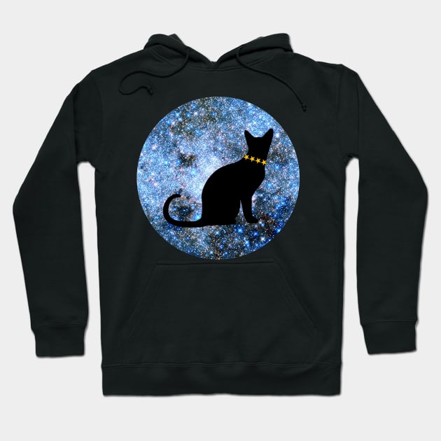 The Cat from Outer Space Hoodie by Celtic Morrigan
